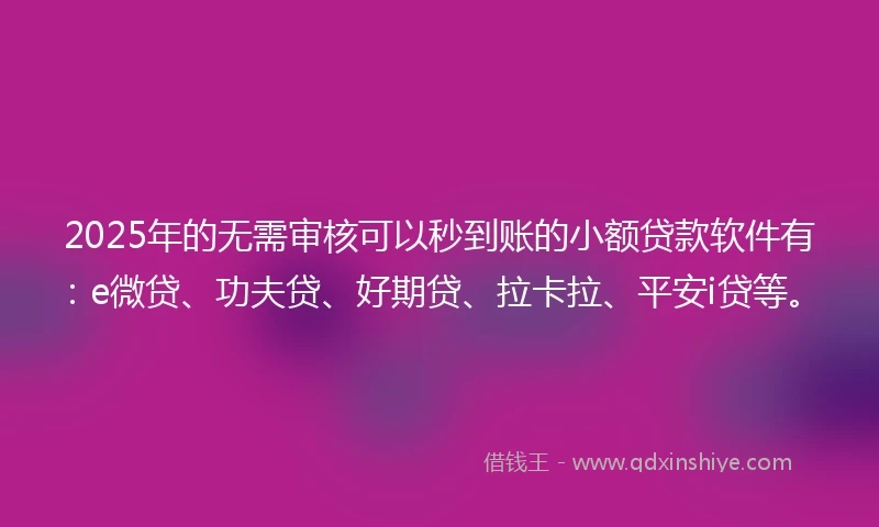 2025年的无需审核可以秒到账的小额贷款软件有：e微贷、功夫贷、好期贷、拉卡拉、平安i贷等。