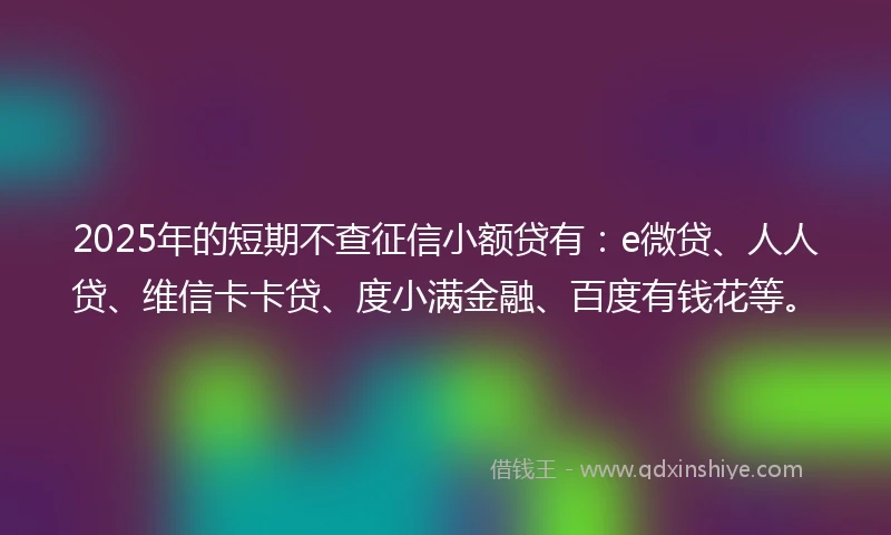2025年的短期不查征信小额贷有：e微贷、人人贷、维信卡卡贷、度小满金融、百度有钱花等。