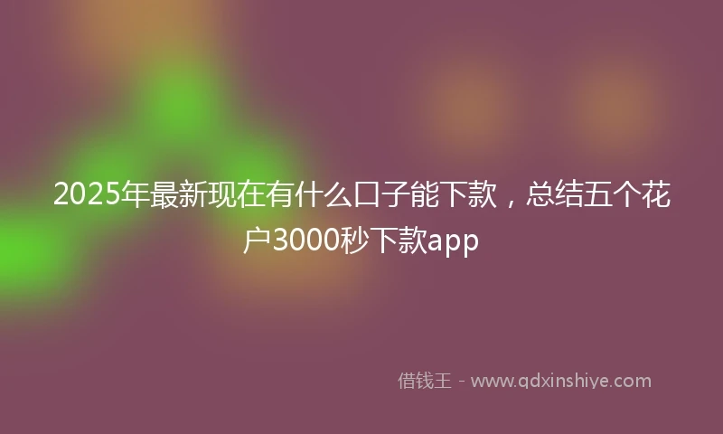 2025年最新现在有什么口子能下款，总结五个花户3000秒下款app