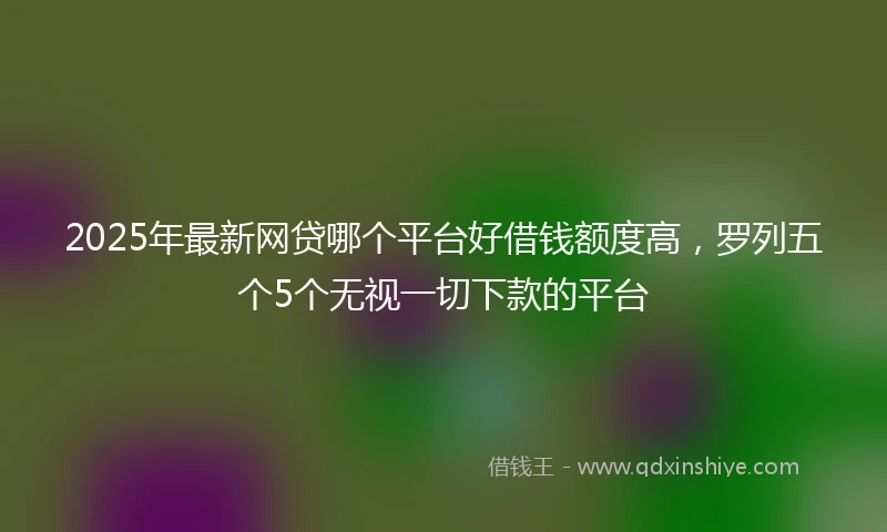 2025年最新网贷哪个平台好借钱额度高，罗列五个5个无视一切下款的平台