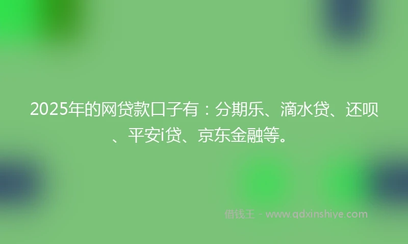 2025年的网贷款口子有：分期乐、滴水贷、还呗、平安i贷、京东金融等。