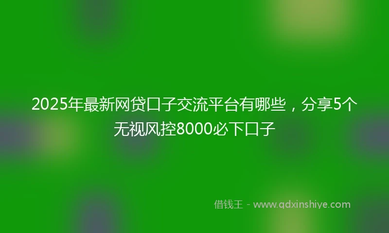 2025年最新网贷口子交流平台有哪些，分享5个无视风控8000必下口子