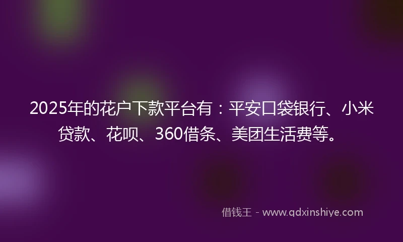 2025年的花户下款平台有：平安口袋银行、小米贷款、花呗、360借条、美团生活费等。