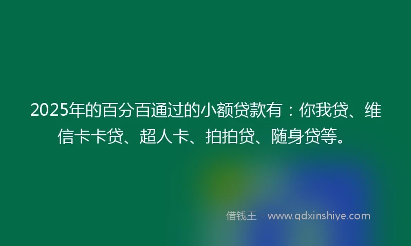 2025年的百分百通过的小额贷款有：你我贷、维信卡卡贷、超人卡、拍拍贷、随身贷等。