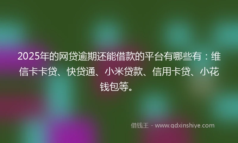 2025年的网贷逾期还能借款的平台有哪些有：维信卡卡贷、快贷通、小米贷款、信用卡贷、小花钱包等。