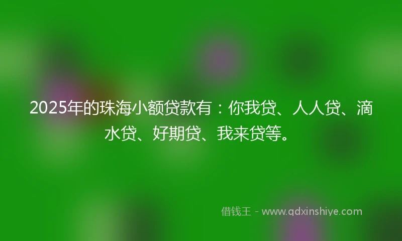 2025年的珠海小额贷款有：你我贷、人人贷、滴水贷、好期贷、我来贷等。