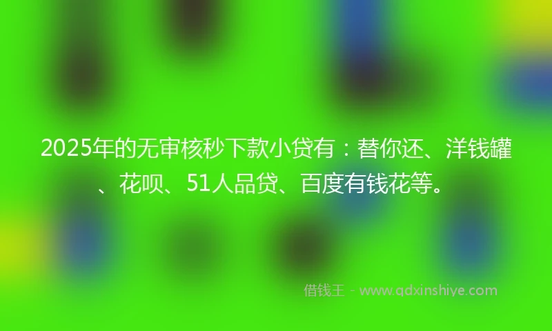 2025年的无审核秒下款小贷有：替你还、洋钱罐、花呗、51人品贷、百度有钱花等。