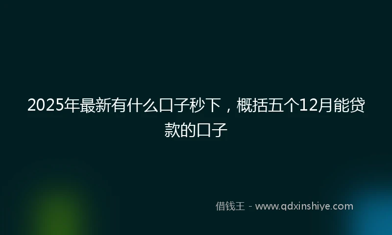 2025年最新有什么口子秒下，概括五个12月能贷款的口子