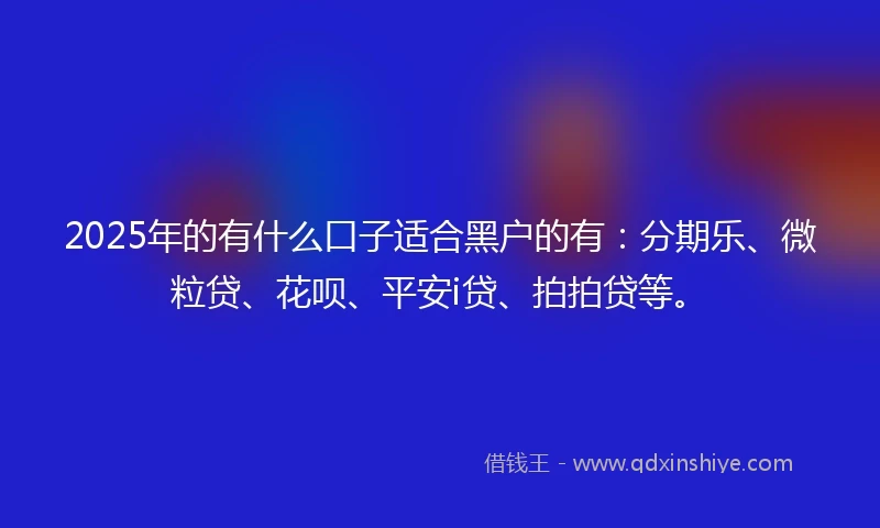 2025年的有什么口子适合黑户的有：分期乐、微粒贷、花呗、平安i贷、拍拍贷等。