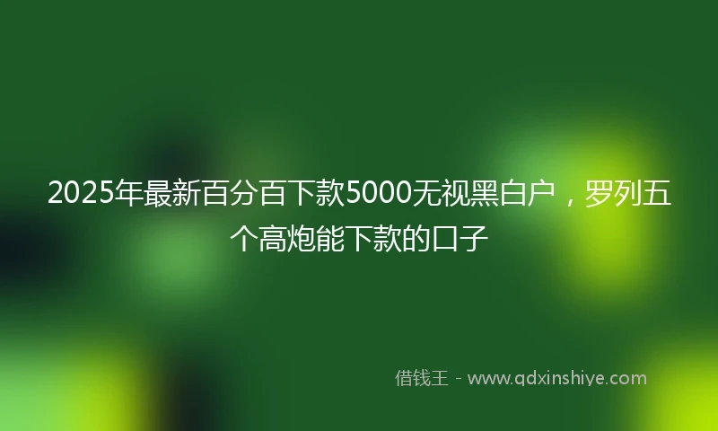 2025年最新百分百下款5000无视黑白户，罗列五个高炮能下款的口子