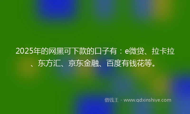 2025年的网黑可下款的口子有：e微贷、拉卡拉、东方汇、京东金融、百度有钱花等。