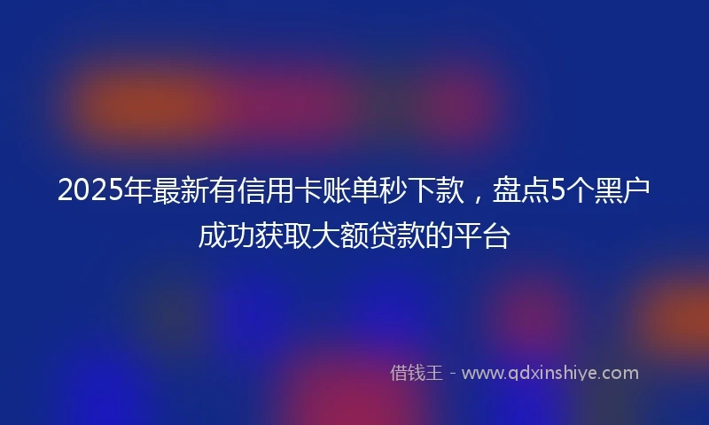 2025年最新有信用卡账单秒下款，盘点5个黑户成功获取大额贷款的平台