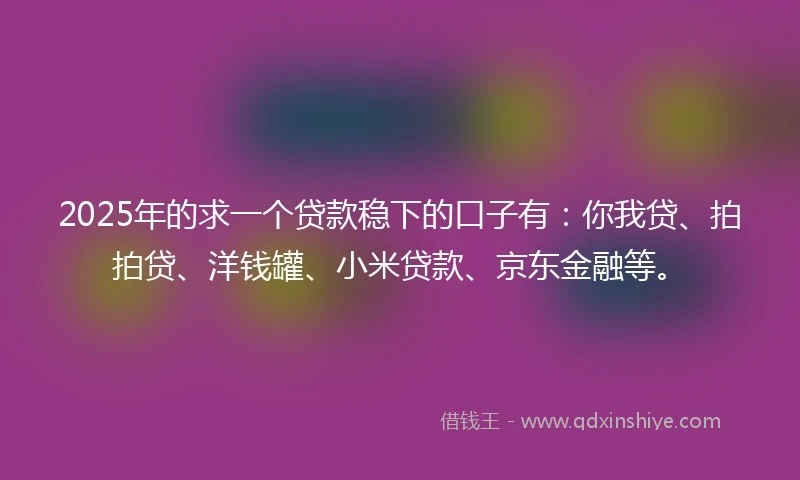 2025年的求一个贷款稳下的口子有：你我贷、拍拍贷、洋钱罐、小米贷款、京东金融等。