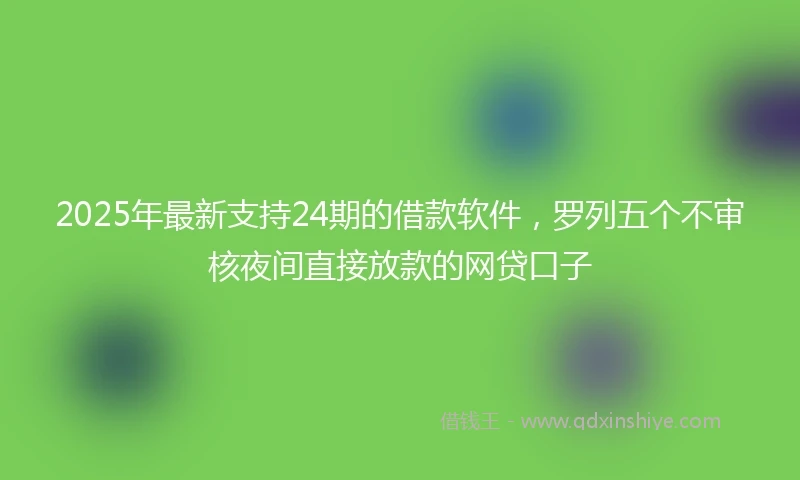 2025年最新支持24期的借款软件，罗列五个不审核夜间直接放款的网贷口子