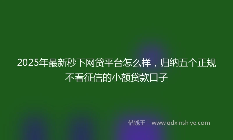 2025年最新秒下网贷平台怎么样，归纳五个正规不看征信的小额贷款口子
