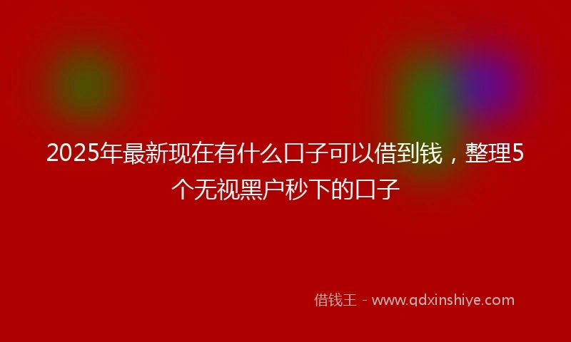 2025年最新现在有什么口子可以借到钱，整理5个无视黑户秒下的口子
