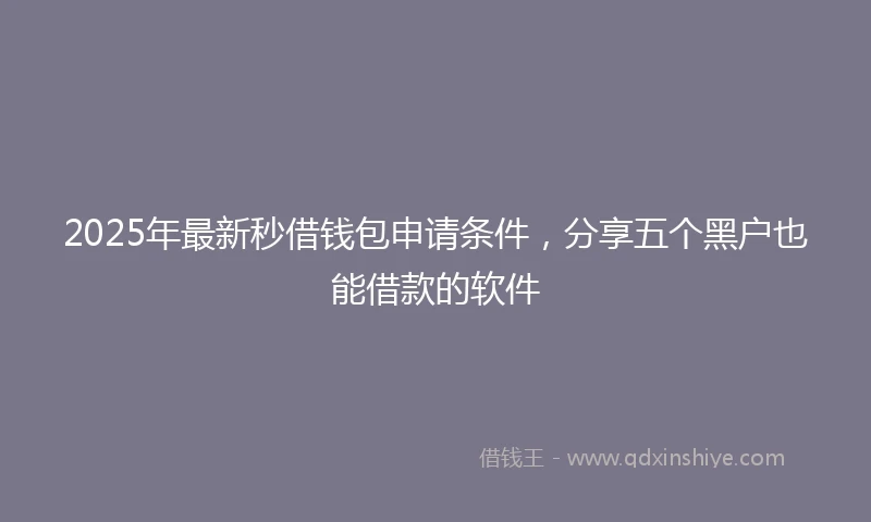 2025年最新秒借钱包申请条件，分享五个黑户也能借款的软件