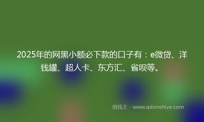 2025年的网黑小额必下款的口子有：e微贷、洋钱罐、超人卡、东方汇、省呗等。