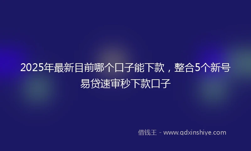 2025年最新目前哪个口子能下款，整合5个新号易贷速审秒下款口子