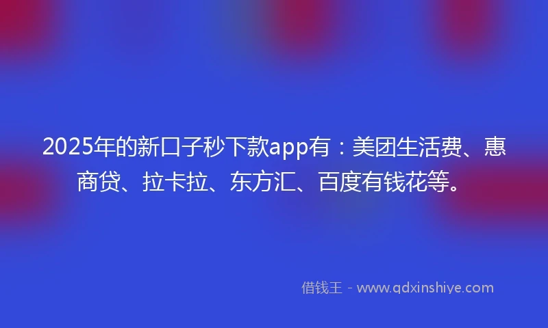 2025年的新口子秒下款app有：美团生活费、惠商贷、拉卡拉、东方汇、百度有钱花等。