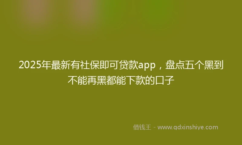 2025年最新有社保即可贷款app，盘点五个黑到不能再黑都能下款的口子