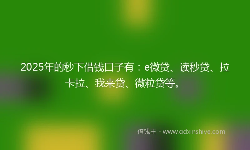 2025年的秒下借钱口子有：e微贷、读秒贷、拉卡拉、我来贷、微粒贷等。