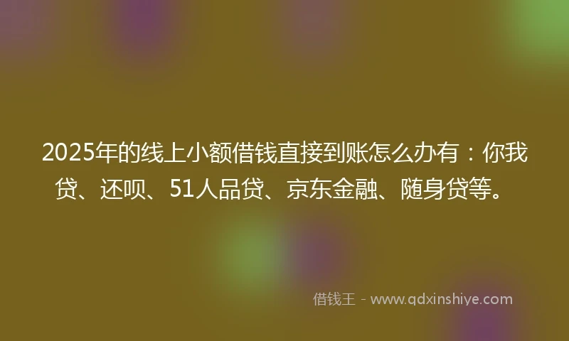 2025年的线上小额借钱直接到账怎么办有：你我贷、还呗、51人品贷、京东金融、随身贷等。