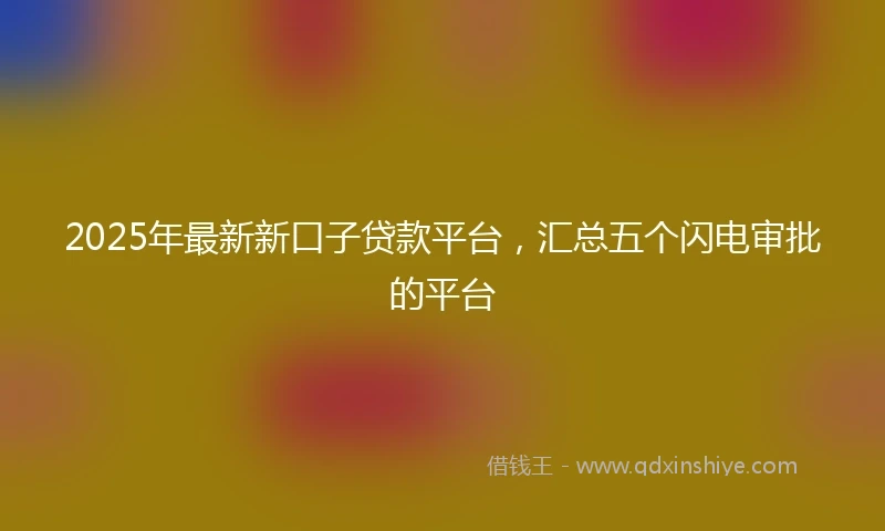 2025年最新新口子贷款平台，汇总五个闪电审批的平台