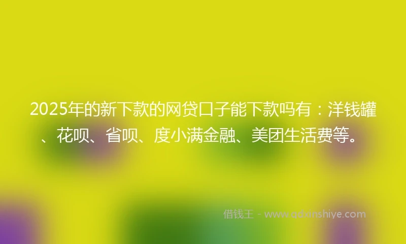 2025年的新下款的网贷口子能下款吗有：洋钱罐、花呗、省呗、度小满金融、美团生活费等。