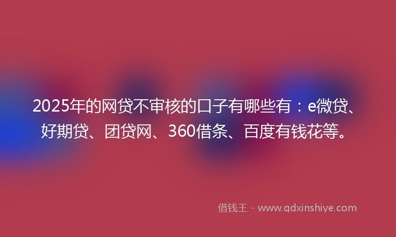 2025年的网贷不审核的口子有哪些有：e微贷、好期贷、团贷网、360借条、百度有钱花等。