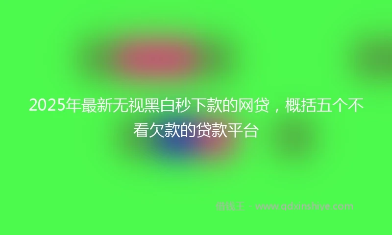 2025年最新无视黑白秒下款的网贷，概括五个不看欠款的贷款平台