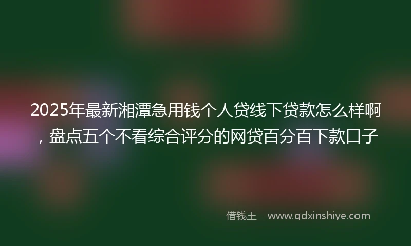 2025年最新湘潭急用钱个人贷线下贷款怎么样啊，盘点五个不看综合评分的网贷百分百下款口子