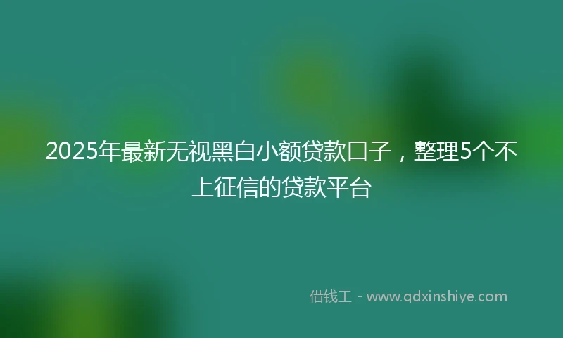 2025年最新无视黑白小额贷款口子，整理5个不上征信的贷款平台