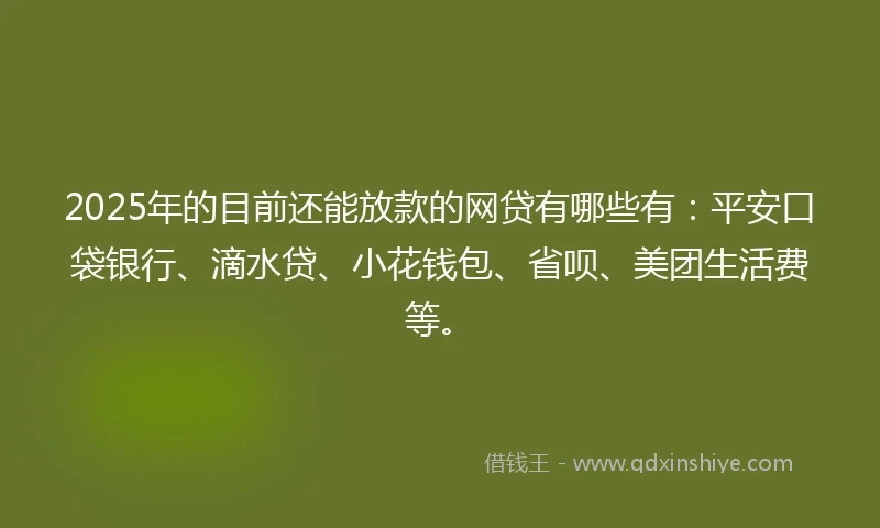 2025年的目前还能放款的网贷有哪些有：平安口袋银行、滴水贷、小花钱包、省呗、美团生活费等。