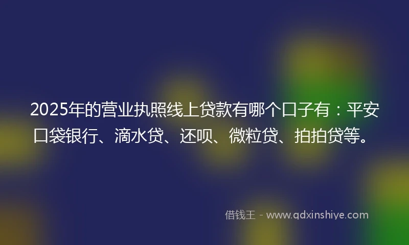 2025年的营业执照线上贷款有哪个口子有：平安口袋银行、滴水贷、还呗、微粒贷、拍拍贷等。