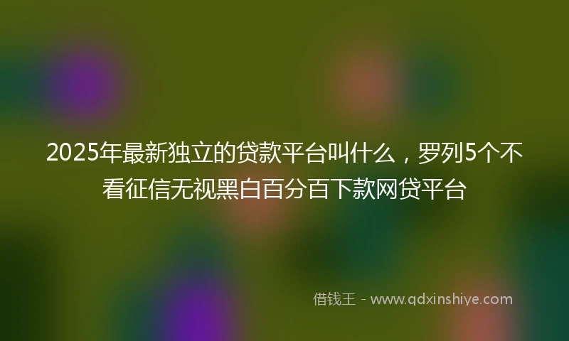 2025年最新独立的贷款平台叫什么，罗列5个不看征信无视黑白百分百下款网贷平台