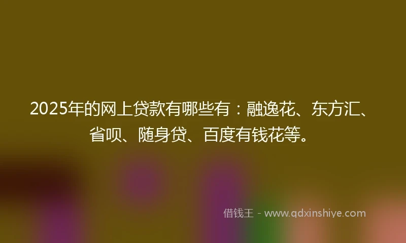2025年的网上贷款有哪些有：融逸花、东方汇、省呗、随身贷、百度有钱花等。