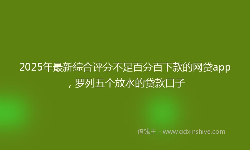 2025年最新综合评分不足百分百下款的网贷app，罗列五个放水的贷款口子
