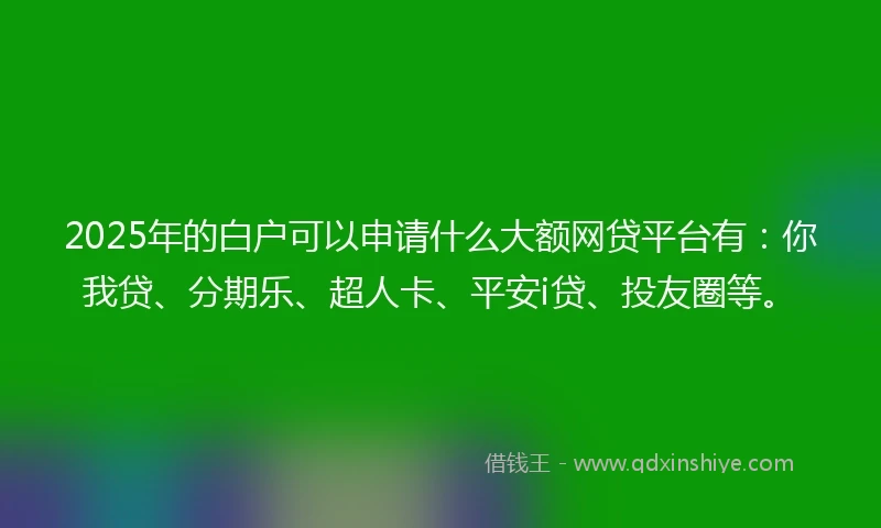 2025年的白户可以申请什么大额网贷平台有：你我贷、分期乐、超人卡、平安i贷、投友圈等。