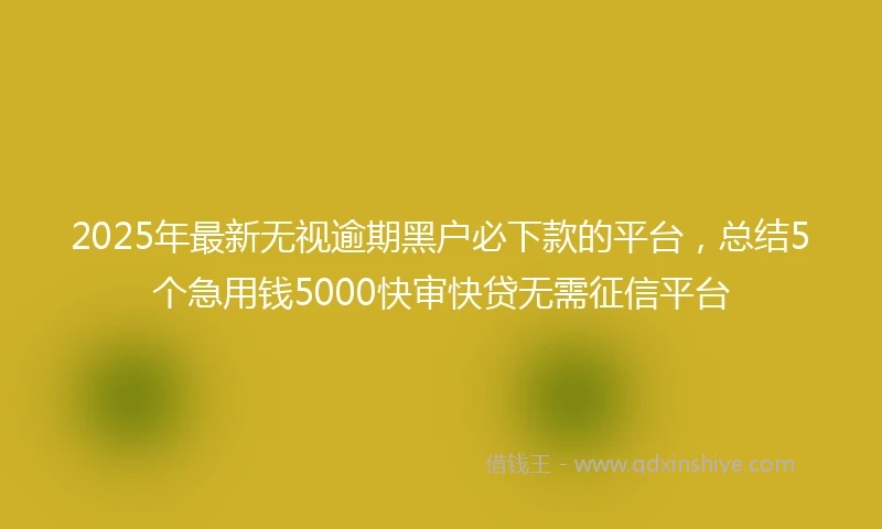 2025年最新无视逾期黑户必下款的平台，总结5个急用钱5000快审快贷无需征信平台