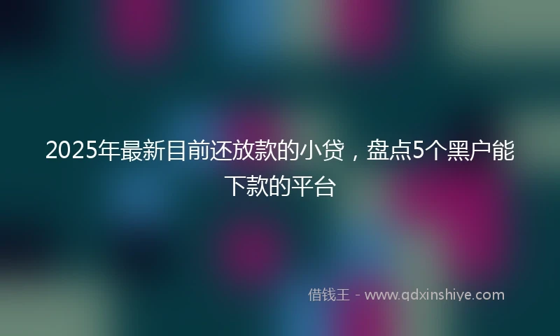 2025年最新目前还放款的小贷，盘点5个黑户能下款的平台