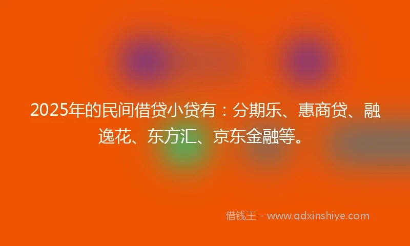 2025年的民间借贷小贷有：分期乐、惠商贷、融逸花、东方汇、京东金融等。