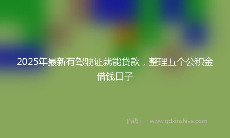 2025年最新有驾驶证就能贷款，整理五个公积金借钱口子