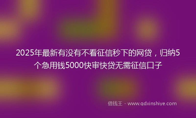 2025年最新有没有不看征信秒下的网贷,归纳5个急用钱5000快审快贷无需征信口子