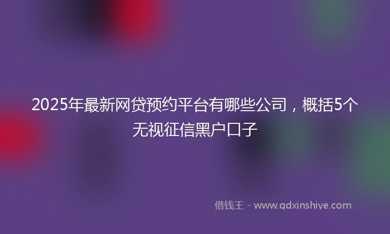 2025年最新网贷预约平台有哪些公司，概括5个无视征信黑户口子