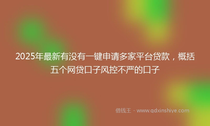 2025年最新有没有一键申请多家平台贷款，概括五个网贷口子风控不严的口子