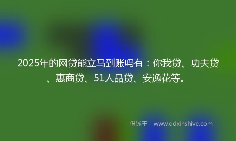 2025年的网贷能立马到账吗有：你我贷、功夫贷、惠商贷、51人品贷、安逸花等。