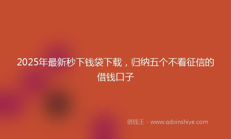 2025年最新秒下钱袋下载，归纳五个不看征信的借钱口子
