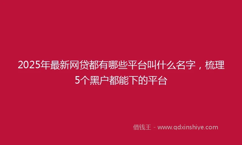 2025年最新网贷都有哪些平台叫什么名字，梳理5个黑户都能下的平台