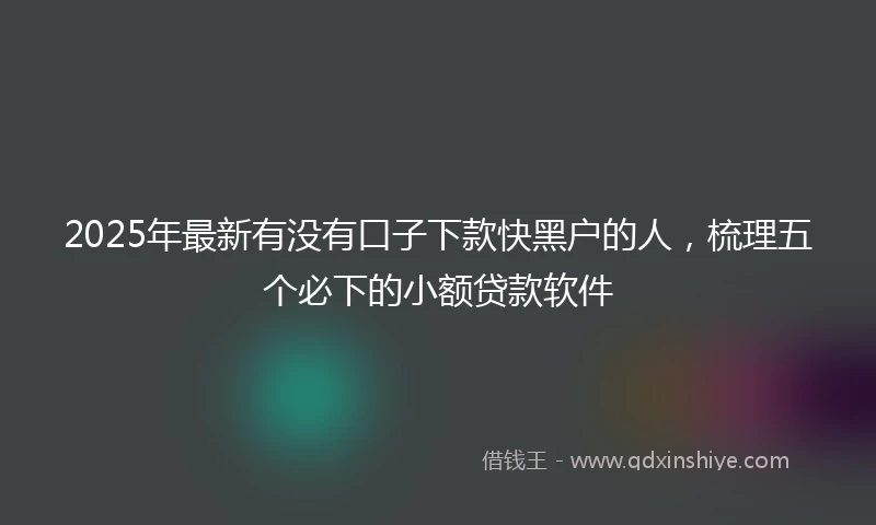 2025年最新有没有口子下款快黑户的人，梳理五个必下的小额贷款软件